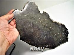 World Class! Huge Full Slice! Beautiful Chico Impact Melt Meteorite 636 Gms