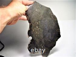 World Class! Huge Full Slice! Beautiful Chico Impact Melt Meteorite 636 Gms