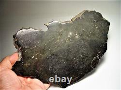 World Class! Huge Full Slice! Beautiful Chico Impact Melt Meteorite 636 Gms