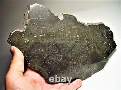 World Class! Huge Full Slice! Beautiful Chico Impact Melt Meteorite 636 Gms