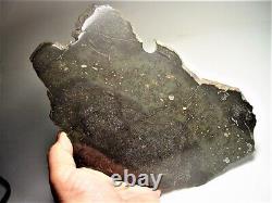 World Class! Huge Full Slice! Beautiful Chico Impact Melt Meteorite 636 Gms