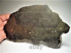 World Class! Huge Full Slice! Beautiful Chico Impact Melt Meteorite 636 Gms