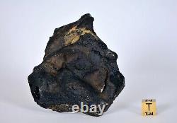 95,1g ZHAMANSHINITE Roche d'impact provenant du cratère météoritique de Zhamanshin TOP MÉTÉORITE