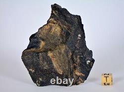 95,1g ZHAMANSHINITE Roche d'impact provenant du cratère météoritique de Zhamanshin TOP MÉTÉORITE