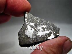 Classe rare ! Nouvelle chute ! Incroyable météorite de breccia d'impact Punggur H7 ! 6,7 g