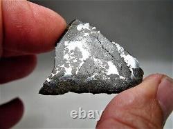 Classe rare ! Nouvelle chute ! Incroyable météorite de breccia d'impact Punggur H7 ! 6,7 g