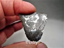 Classe rare ! Nouvelle chute ! Incroyable météorite de breccia d'impact Punggur H7 ! 6,7 g