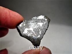 Classe rare ! Nouvelle chute ! Incroyable météorite de breccia d'impact Punggur H7 ! 6,7 g