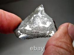 Classe rare ! Nouvelle chute ! Incroyable météorite de breccia d'impact Punggur H7 ! 6,7 g