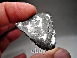 Classe rare ! Nouvelle chute ! Incroyable météorite de breccia d'impact Punggur H7 ! 6,7 g