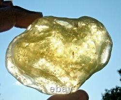 Échantillon d'impact de Tektite de météorite en verre du désert libyen (1010 Ct) Super jaune A+