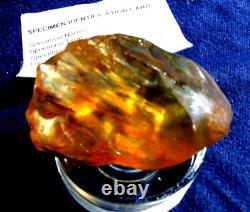 Échantillon d'impact de téktite de météorite de verre du désert libyen (600 crt) Super Gemme Brune A