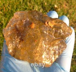 Échantillon d'impact de téktite de météorite en verre du désert libyen (1000 crt) Super Gem Dark