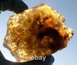 Échantillon d'impact de téktite de météorite en verre du désert libyen (1000 crt) Super Gem Dark