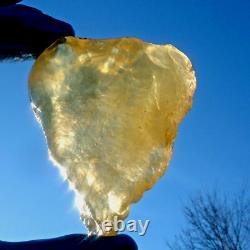 Échantillon d'impact de téktite de météorite en verre du désert libyen (665 ct) Gemme jaune à fossettes