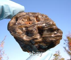 Météorite en verre du désert libyen Tektite, spécimen d'impact (440 crt) unique en son genre