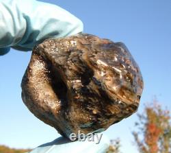 Météorite en verre du désert libyen Tektite, spécimen d'impact (440 crt) unique en son genre