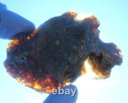 Météorite en verre du désert libyen spécimen d'impact de tectite (455 crt) Super Rare - Gris