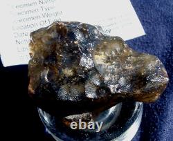 Spécimen d'impact de Tektite de météorite en verre du désert libyen (650 carats) - Noir foncé Dimples