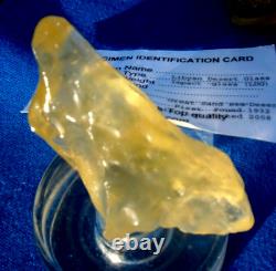 Specimen d'impact de tectite météoritique en verre du désert libyen (360 ct) Super gemme jaune