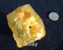 Specimen d'impact de téktite de météorite en verre du désert libyen (1200 crt) Trou naturel