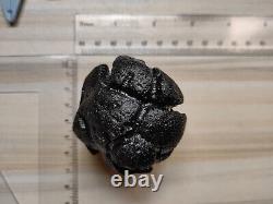 Tektite Philippinite Rare large 200g Bicolite Meteorite Impact Glass Deep Groove
 <br/>
  	- Tektite Philippinite Rare gros 200g Bicolite météorite Verre d'impact Rainure profonde