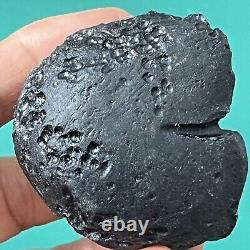 Tektite indochinite roche spatiale impactite d'impact de météorite 92 g courbe de pierre