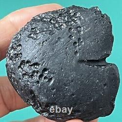 Tektite indochinite roche spatiale impactite d'impact de météorite 92 g courbe de pierre