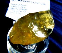 Verre de météorite du désert libyen Tektite Impact Dimples (465 crt) Belle gemme jaune